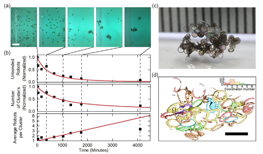 GRASPlab's tweet photo. Bones and tissue can heal, so why not robots? GRASP's Miskin Lab, a nanorobotics lab, is researching a material that can self-heal when stimulated by electricity.

Read more:
https://t.co/U7cb4KxACy

#GRASP #GRASPLab #Nanorobotics https://t.co/cB0r8UEHOY