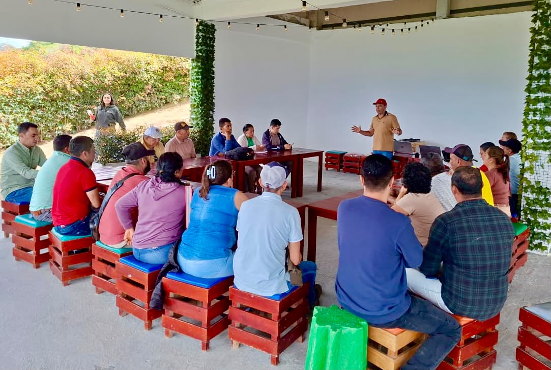 ADR_Colombia's tweet photo. A través de la estrategia SOMOS, la ADR fortalece la asociatividad, impulsa la transformación y abre nuevos mercados para el sector cafetero, mejorando la productividad, reduciendo la intermediación y generando más oportunidades para las familias huilenses. https://t.co/hVCBTTG1ds