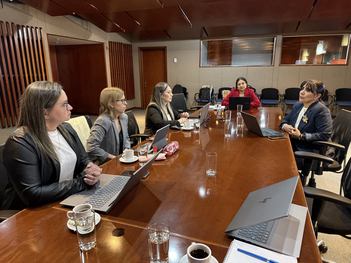 ANEAES_Paraguay's tweet photo. La delegación de la Agencia Nacional de Evaluación y Acreditación de la Educación Superior (ANEAES) culminó su agenda de trabajo en el Consejo Nacional de Acreditación (CNA) de Colombia con una jornada centrada en la cooperación internacional, la gobernanza de los sistemas de aseguramiento de la calidad y la proyección estratégica de ambas instituciones.

La jornada inició con una presentación sobre el reconocimiento internacional del CNA, a cargo de los consejeros María Piedad Marín, Álvaro Flórez y Carlos Gómez, quienes compartieron la experiencia del organismo colombiano en su alineación con las Buenas Prácticas de la Red Internacional de Agencias para el Aseguramiento de la Calidad en la Educación Superior (INQAAHE), así como su participación en redes regionales e internacionales como RIACES, el Sistema ARCU-SUR del MERCOSUR además de su vinculación con referentes internacionales como el Washington Accord en ingeniería y el proceso de reconocimiento ante la World Federation for Medical Education (WFME) para la acreditación de programas de medicina. 

Posteriormente, la delegación de la ANEAES sostuvo una reunión de cooperación bilateral con los consejeros durante la cual se definieron líneas de trabajo conjunto orientadas al intercambio de expertos, la formación de evaluadores, el desarrollo de programas de cooperación técnica. Destacaron como una buena práctica la integración con otras agencias regionales, lo que permite la construcción de un marco común y la consolidación de la calidad de las IES.

La agenda concluyó con una mesa técnica sobre la gobernanza del Sistema Colombiano de Aseguramiento de la Calidad, desarrollada junto a Martha Hernández, Subdirectora de Aseguramiento de la Calidad de la Educación Superior, y los consejeros del CNA. En este espacio se analizaron los mecanismos de articulación entre el Consejo Nacional de Acreditación, el Consejo Nacional de Educación Superior (CESU), la Comisión Nacional Intersectorial de Aseguramiento de la Calidad de la Educación Superior (CONACES) y el Ministerio de Educación Nacional de Colombia, así como el equilibrio entre autonomía universitaria, regulación y supervisión. Además, se profundizó en las diferencias entre el registro calificado y la acreditación en alta calidad, aportando valiosos insumos para el desarrollo de la Tercera Fase del nuevo modelo evaluativo y la consolidación del sistema paraguayo de aseguramiento de la calidad.

Con esta visita técnica, que cuenta con apoyo de @OEIParaguay, la ANEAES reafirma su compromiso con la cooperación internacional, el intercambio de buenas prácticas y la consolidación de un sistema de evaluación y acreditación cada vez más innovador, transparente y alineado con los estándares internacionales de calidad. 🇵🇾🤝🇨🇴