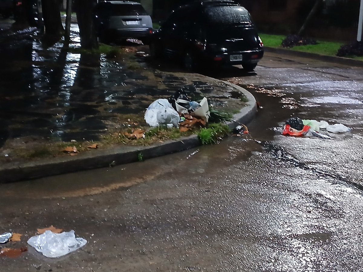 fernandofabbri1's tweet photo. @gestion_a @jorgeferraresi ocupes de la gestión  soreda y bahía blanca inundada x no recoger recidups https://t.co/GzGzvlpl4U