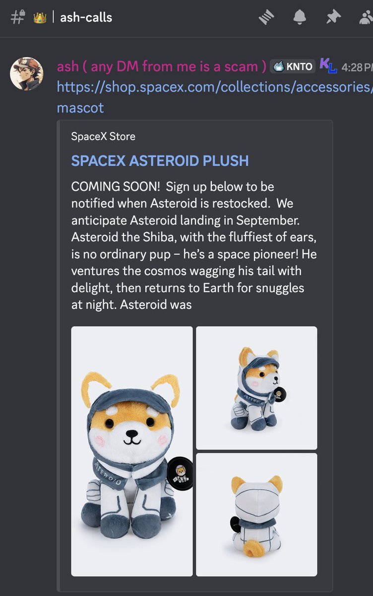 ashrobin's tweet photo. last night at 1AM in the morning I pinged $ASTEROID at $35 million with full thesis to everyone in @KantoLabs 

it was late, people were sleeping, but I was doing what I always do... which is look for plays

30 minutes ago, the ASTEROID plushy was put onto the SpaceX website

and let me tell you... it feels so good to be right

ASTEROID is indeed the SpaceX mascot and Elon is going to talk about it

I don't care if we're in a bull market or bear market, I really don't give a shit

either you're locked in and ready to make money in this market, or you're not

I for one, am going to continue to grind this market like I have been for the past 5 years

cheers to the good times in crypto bros and gals 🍺