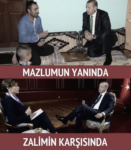 Sesil tweet media