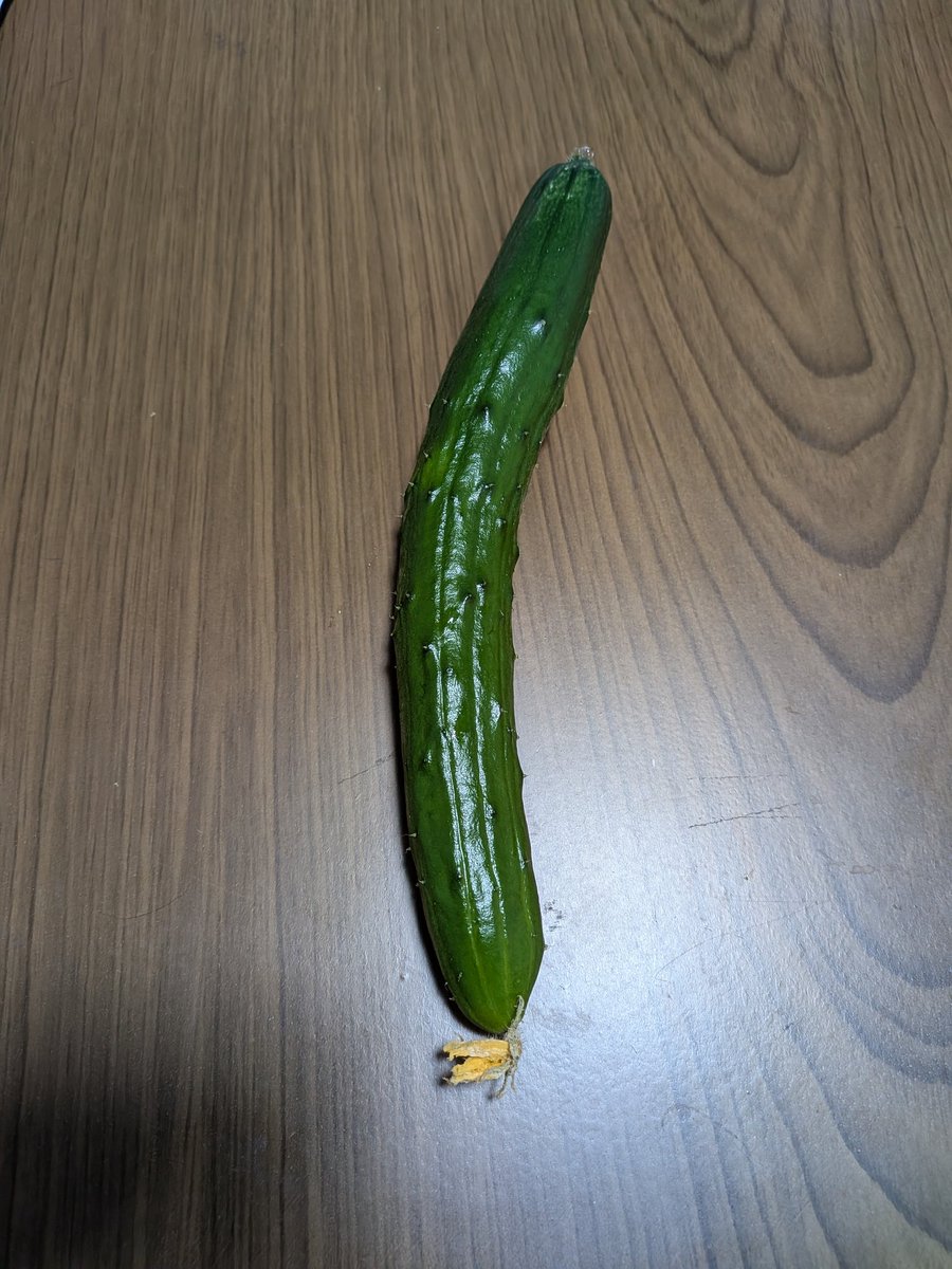 きゅうり