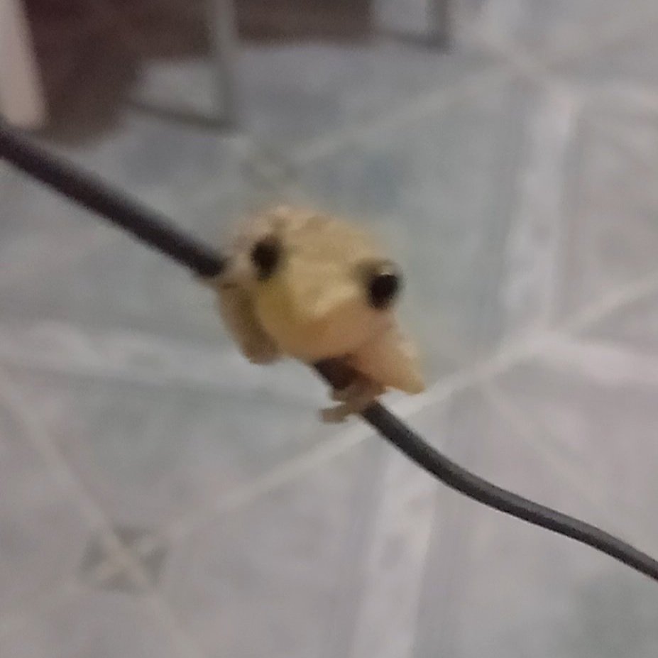 niki.🕷️ tweet media