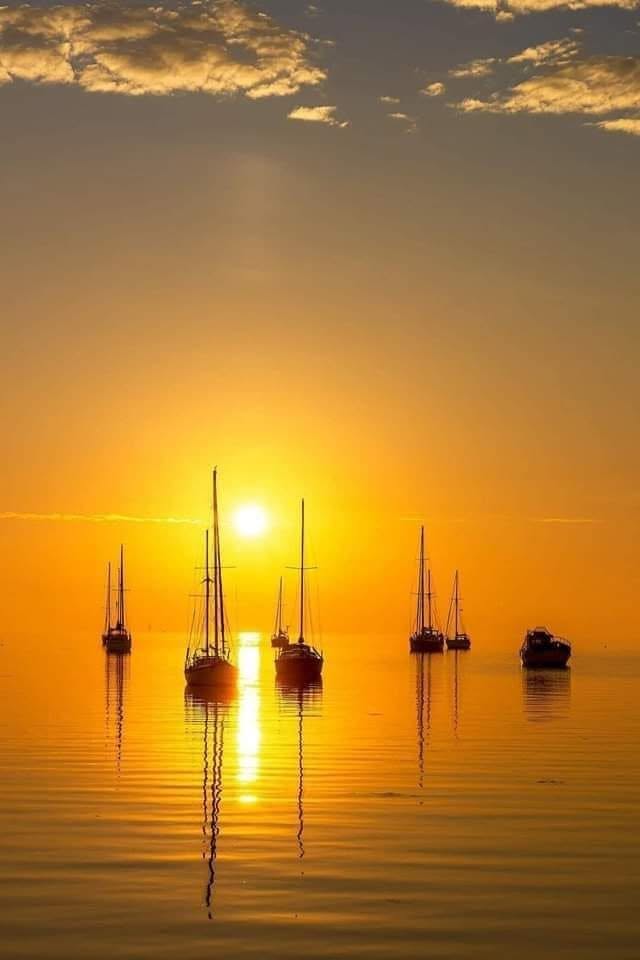 FroKsil's tweet photo. Κάθε μέρα έχει τη σκέψη της και κάθε νύχτα το όνειρό της.

Σοφοκλής https://t.co/tZdJnWbuX5