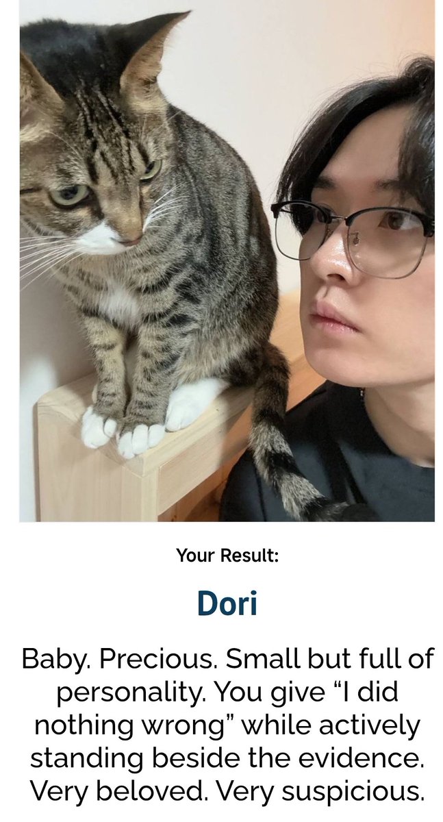 Purple5Alien's tweet photo. YAAYY (Fun fact, my fish's name was Dori and no i wasn't a stay and didn't know Minho's cat) https://t.co/Cna1BWXkIY