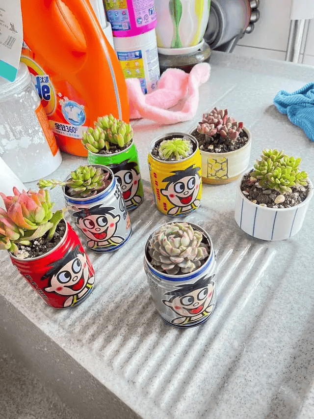 Privet77880681's tweet photo. Just upcycled old glass jars into cute succulent planters with hot glue u0026 chalk paint  Easy 10-minute DIY that spruces up my desk! https://t.co/CICJZeNU2S