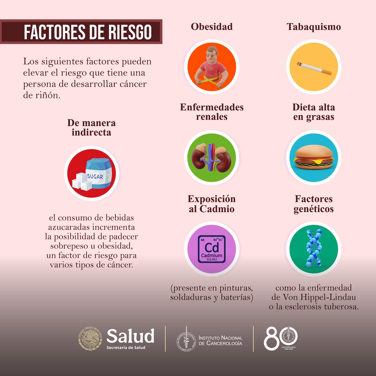incanMX's tweet photo. 💚 Día Mundial del Cáncer de Riñón
En este Día Mundial del Cáncer de Riñón, recordamos la importancia de reconocer los factores de riesgo, acudir a revisiones médicas y fomentar la detección oportuna. La información y la prevención pueden marcar la diferencia. https://t.co/jFWwg0cP4S
