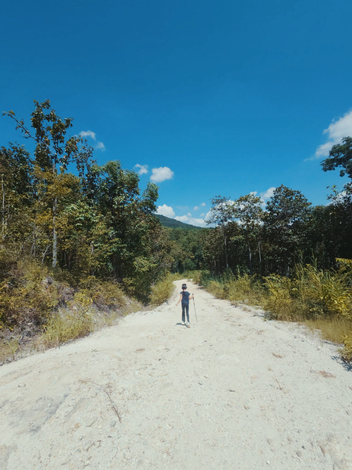 veronica___sem's tweet photo. Woke up early for a quick morning hike, fresh air and small mountain views made today perfect! https://t.co/oICFElUkG4