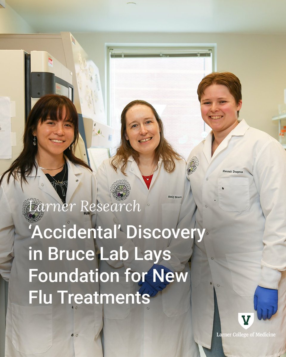 UVMLarnerMed's tweet photo. Researchers working in the Emily Bruce, Ph.D., Lab discovered that different flu viruses use distinct strategies to invade lung cells, and that it’s possible to prevent the viruses from entering new cells.

https://t.co/BGW1GtGQmV

#UVM #UVMLarnerMed https://t.co/dulfHULK2i