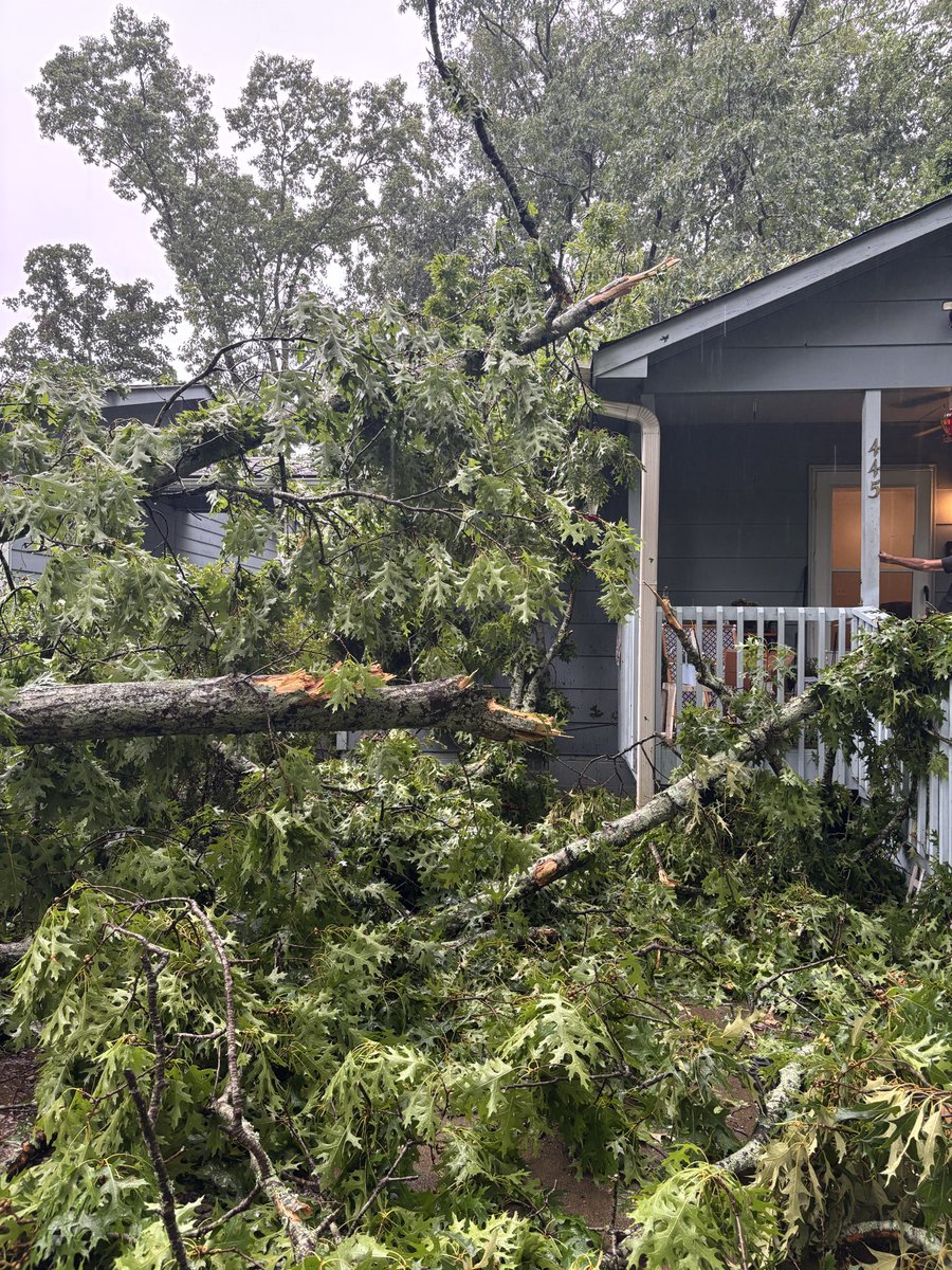 TyphoonWhit's tweet photo. Large tree down in my yard. Did some minor structural damage to the house, fencing and some outdoor furniture. Happened during the severe warned storm around 5pm this afternoon. @NWSAtlanta https://t.co/QnRZ8qpcjv