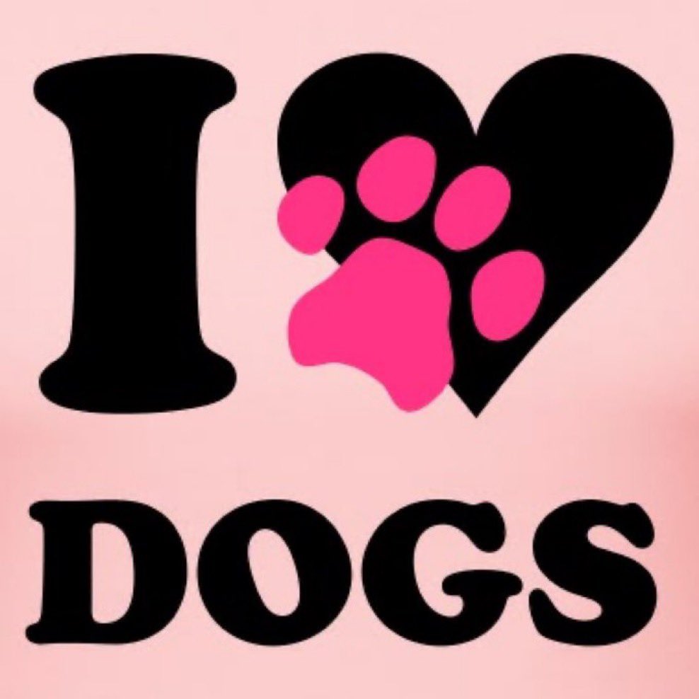 StarKnotter's tweet photo. #Origin #dogknotted #dogpride #doglovers https://t.co/UxwnsFVQdJ
