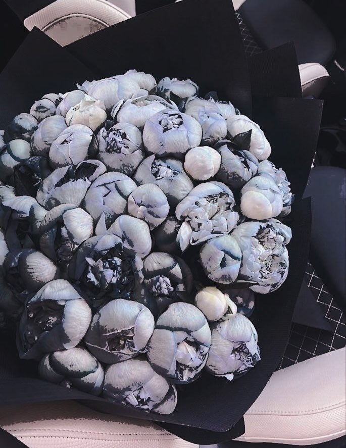 MVRPFLOWERSHOP's tweet photo. ———  ✿  𝑭𝑳𝑶𝑾𝑬𝑹 𝑫��𝑳𝑰𝑽𝑬𝑹𝒀 .ᐟ 

⠀⠀⠀⠀ 𝐓𝐎: @moonlitmachete 

⠀⠀⠀⠀ 𝐅𝐑𝐎𝐌: ANON

˗ˏˋ ꒰ ✉︎ ꒱ ˎˊ˗  :  Welcome Back. https://t.co/sSs5UEJI1w