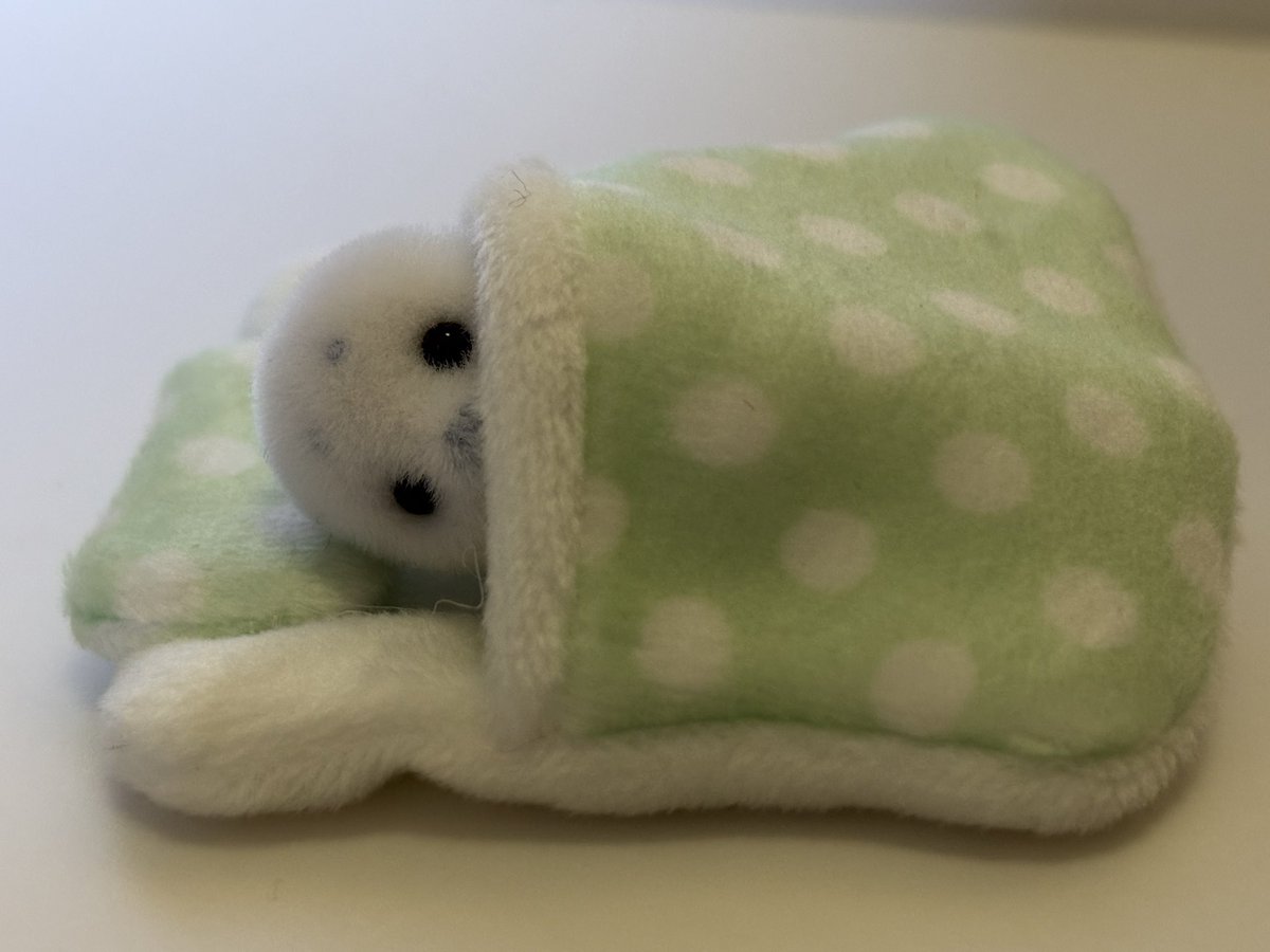 sylvanian1985's tweet photo. セリアで販売されていた、松野工業さんの、ぬい活用のミニチュアお布団に、シルバニアのアザラシの赤ちゃんを寝かせて見ました。
#シルバニアファミリー
#松野工業 #セリア
#Seria #ハンドメイド
#ぬい活 https://t.co/aYDAfyityR
