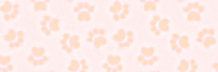 princesskajy's tweet photo. ⏔⏔⏔⏔   ⁺‧₊˚‧꒰ა 𓂋 ໒꒱ ‧˚₊‧⁺  ⏔⏔⏔
   🧁🍭  kαjy’s ιntrσ  🐰🐾
  #moothunt #promotwt ;3
8teeη ◟ bunnι, BPD, loser dollιe gf Ი𐑼
αm rlly lonely i js wαnt ppl to tαlk tσ me ૮◞ ‸ ◟ ა
#lowlvl #groommetwt #pervbait #paypig #bmf #moots #daddy #barelylegal #nsfwtwtًً https://t.co/6KHXPIgL9D