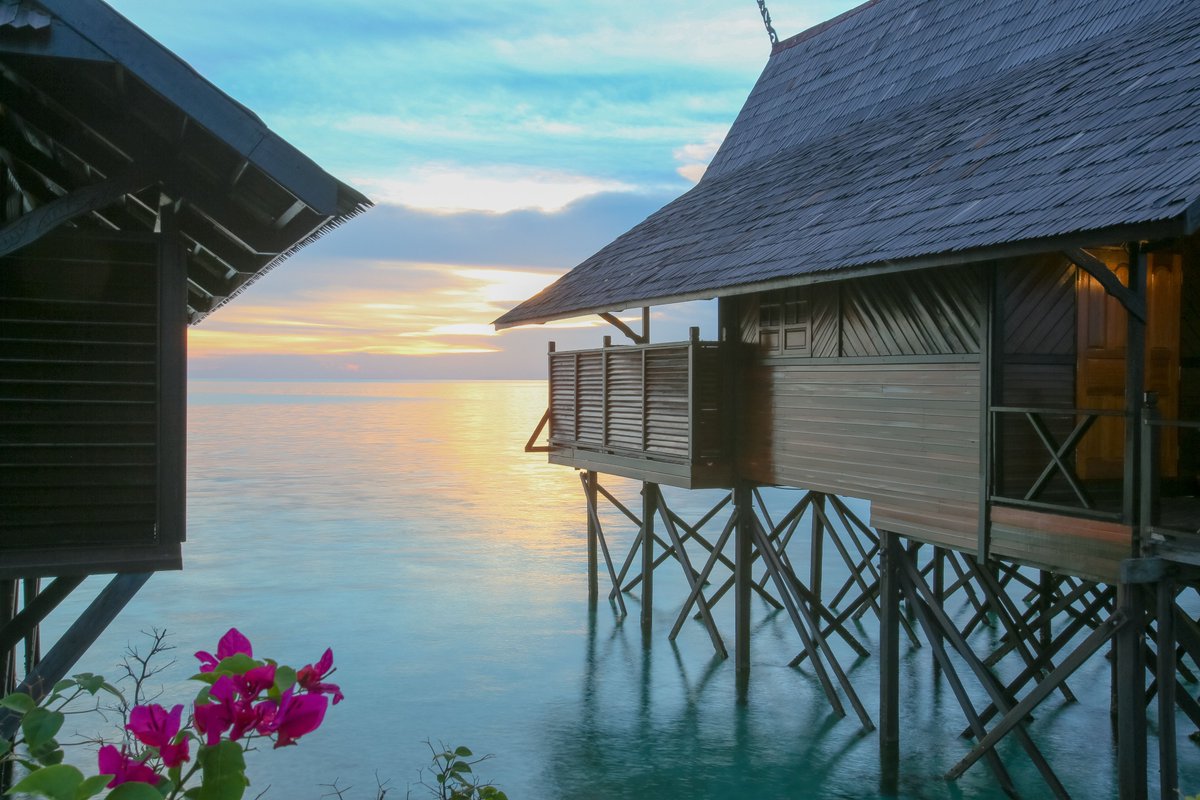 TravelMore_MB's tweet photo. Spending summer nights stressing over flight connections and resorts? Let us handle the logistics.✈️ 7 Days / 5 Nights in July📍SMF to MLE (Qatar Airways)🏝️ All-Inc Villa💰 $5,534 USD 
Link in bio for Free Travel Guide! https://t.co/p93hY26Lf6  

Like &amp; Follow! https://t.co/lDdn3jNOuY