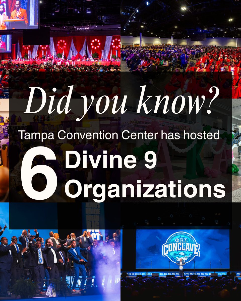 TheTampaCC's tweet photo. In honor of #Juneteenth, we’re proud to spotlight the Divine Nine, the 9 historically Black Greek-letter orgs rooted in service &amp; leadership. TCC has hosted 6 since '23! Thank you for choosing Tampa. 

Next up: welcoming Sigma Gamma Rho for their Grand Boule this July! 💙💛 https://t.co/Hs5n1H3uNs