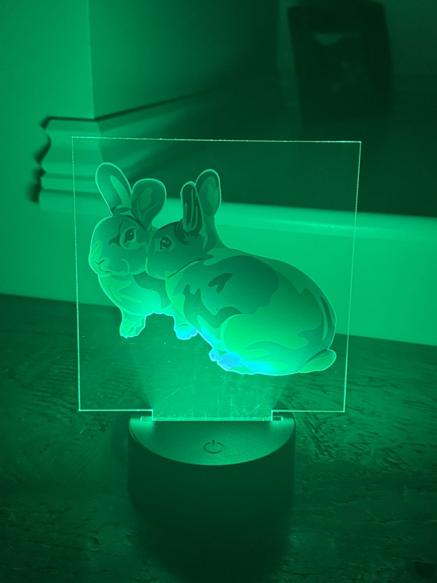 jjrabbithouse's tweet photo. Who would like to see some @carrotcottagerr bunnies on colour changing lights? Here’s our little JJ and Hettie experiment. Each one can be USB charged or batteries and come with a remote control to change the colour. https://t.co/qJd6WusHpH