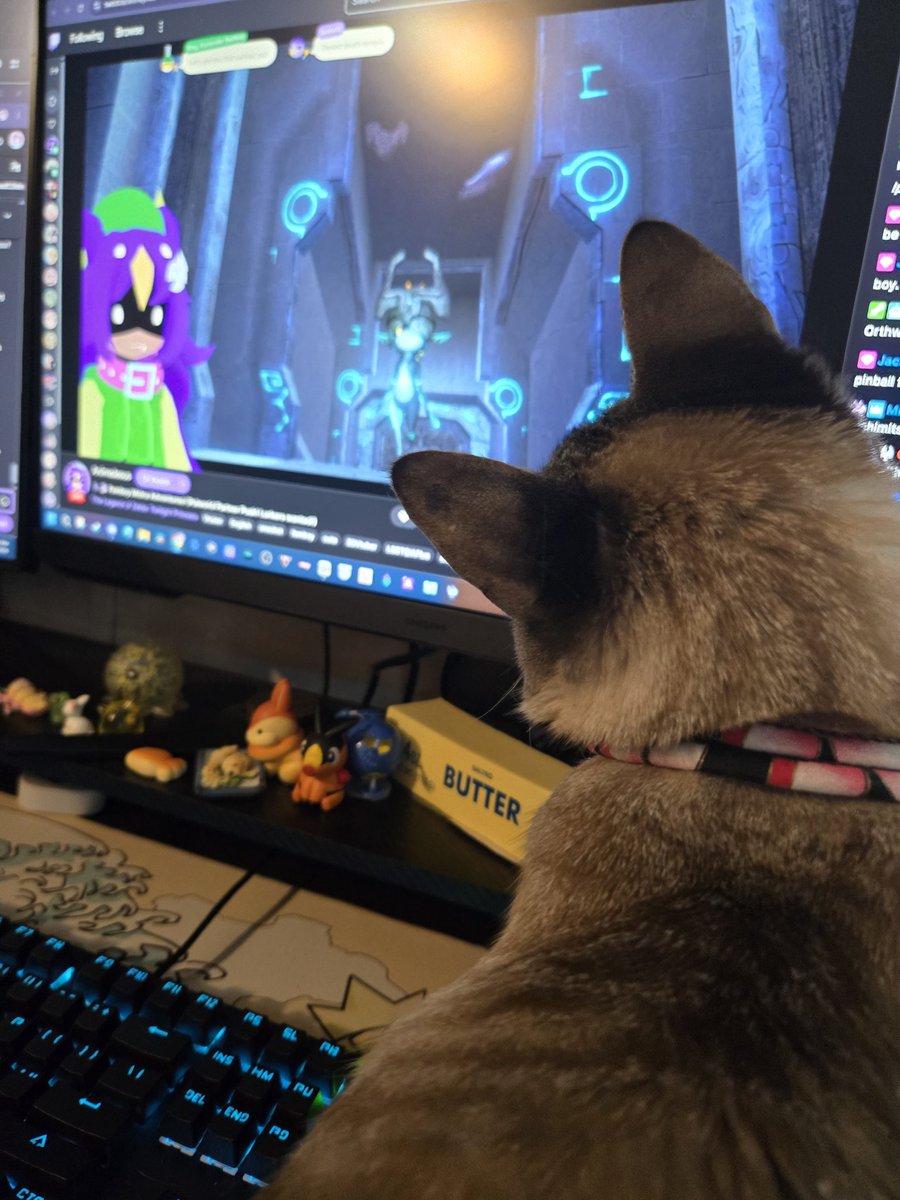 WeaselSpeed's tweet photo. Kitty likes Vtubers :3c https://t.co/rc3SH1vyhz