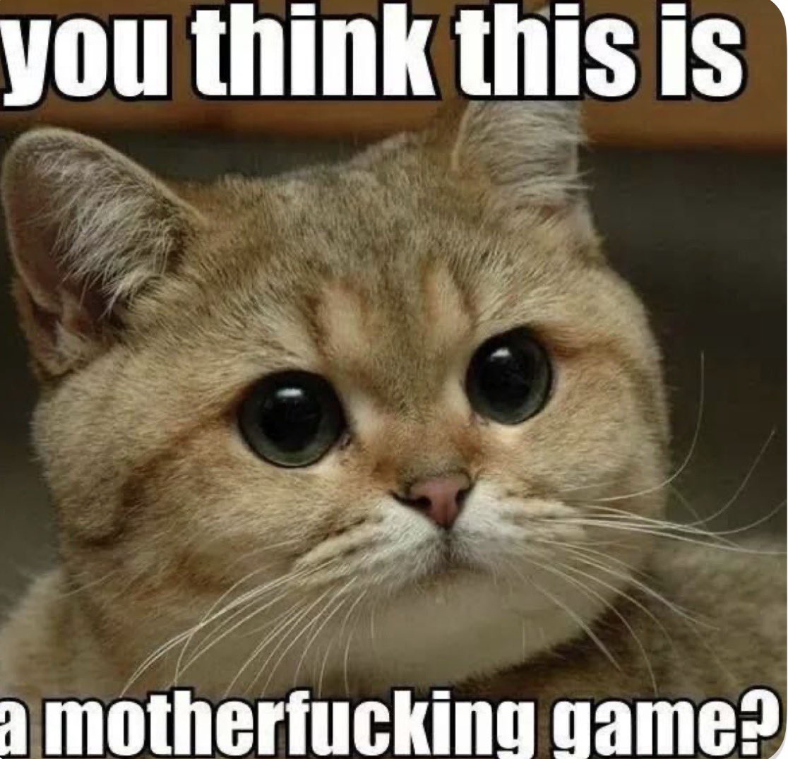 Cat Tribunal tweet media