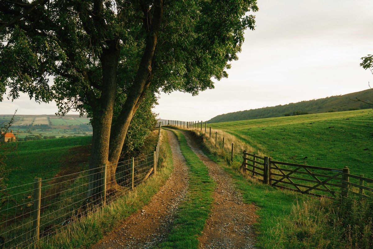 echoesofworld's tweet photo. farm life https://t.co/qtAFuztEvA