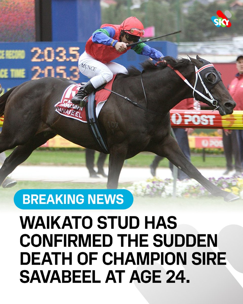 SkyRacingAU's tweet photo. 10-time champion stallion and Cox Plate winner Savabeel has died as the result of a freak paddock accident.

He sired 159 individual stakes winners including 36 Group 1 winners.

RIP Savabeel ❤️ https://t.co/Nj3CO1nHlT