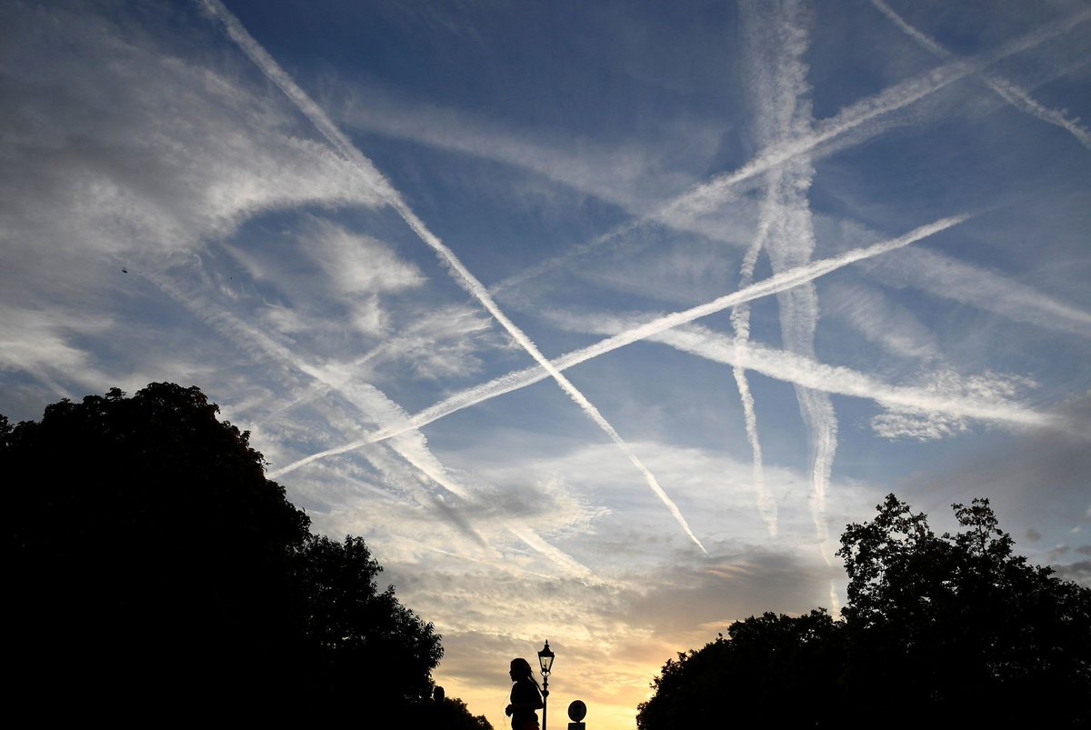 sandraward801's tweet photo. @Osbournegreen @thedailyrabbit_ @POTUS @WhiteHouse 
@epaleezeldin 
In their defense, they probably can not get any oxygen to their tiny brains while wearing those Rediculous, &amp; Useless face coverings. 😷 
#LiberalismIsAMentalDisorder 
#Chemtrails 
#BanChemtrails
Stop Poisoning The Air We Breath!! 😠 
DO IT!! https://t.co/VIGA0nBHuk