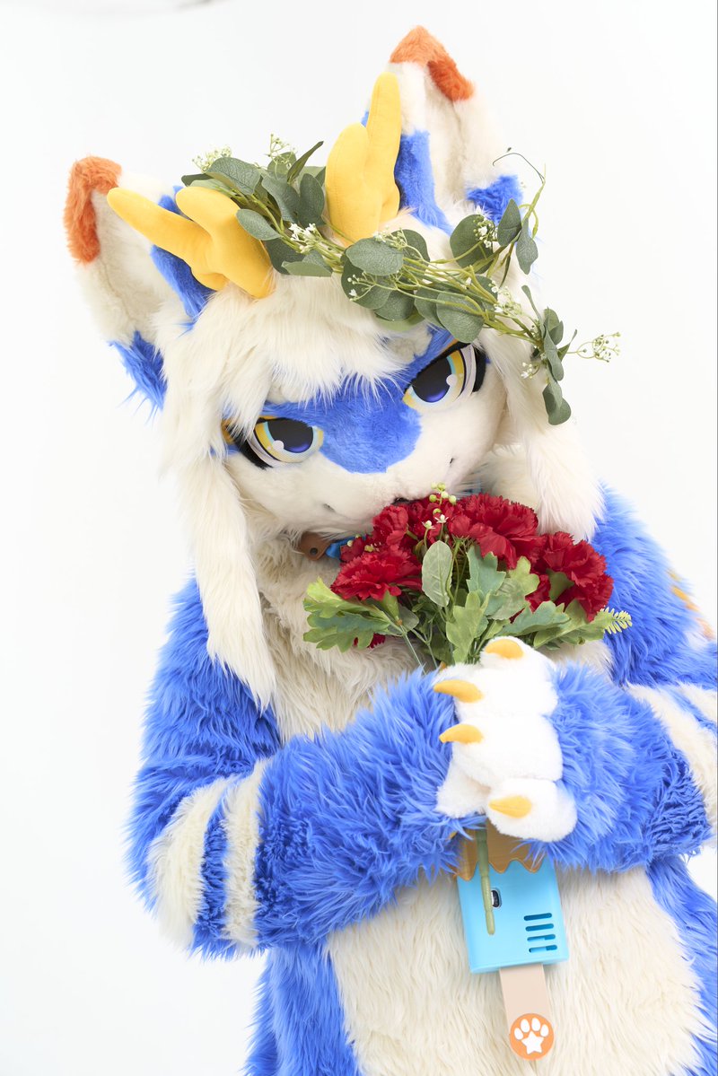 cheonlin_fur's tweet photo. #FursuitFriday

이 꽃 향기가 너무 좋다~ 너도 한번 맡아볼래? https://t.co/0rJUZtnbza
