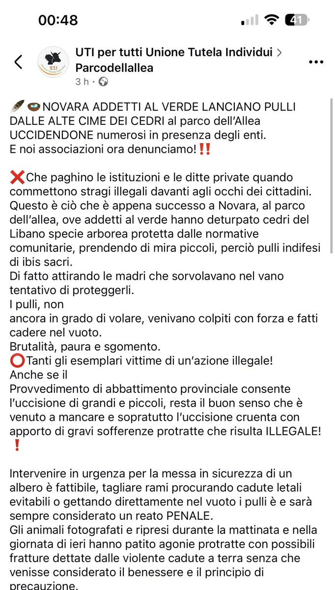 animalEURrescue's tweet photo. Azione di Fronte Animalista e AVI contro lo scellerato comportamento criminale del Comune di Novara, con recupero di alcuni esemplari feriti - molti sono morti, purtroppo- che sarà denunciato per violazione delle norme di protezione alla fauna omeoterma. Il Sindaco preghi https://t.co/OaRboJkxpA