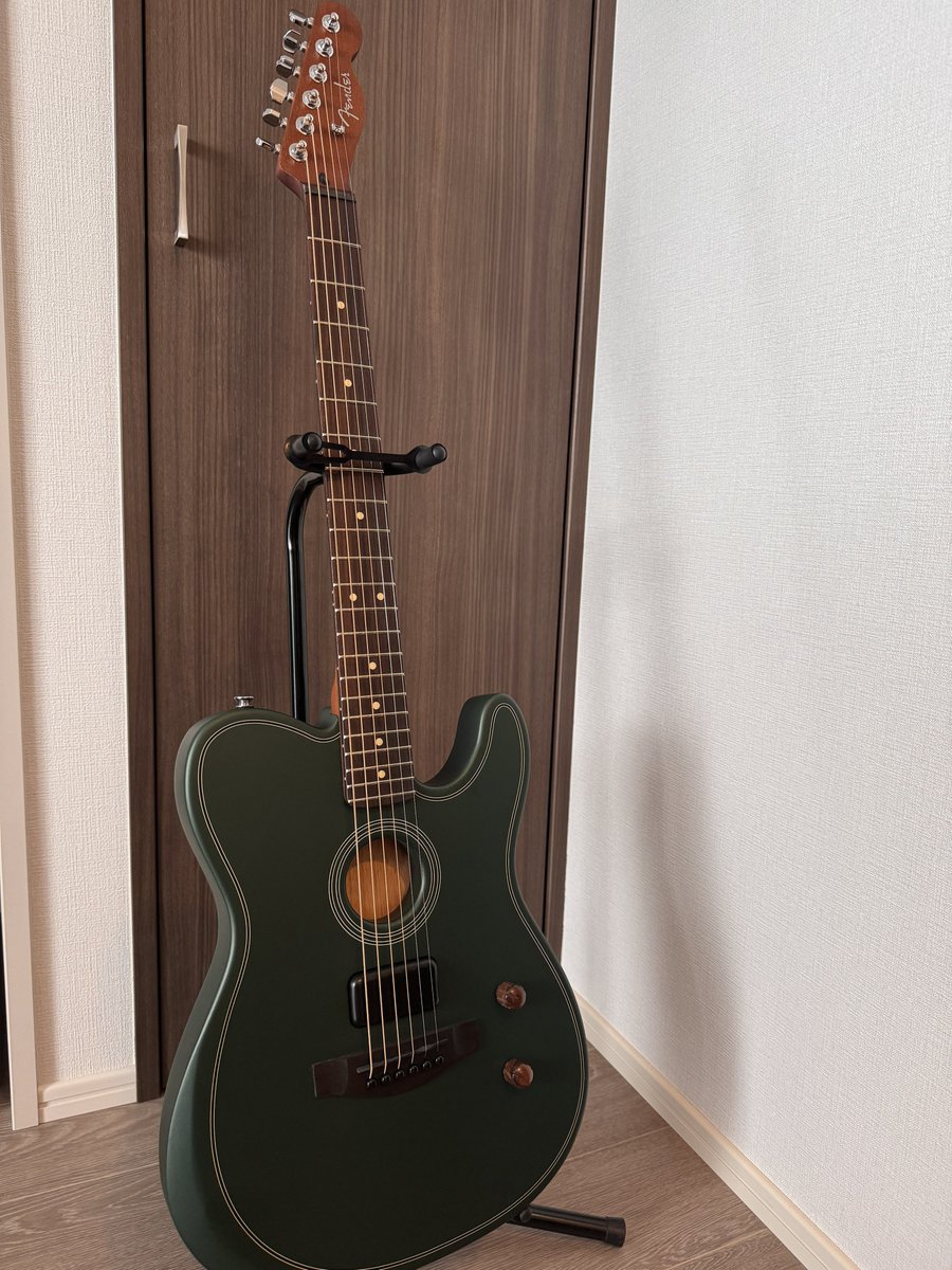 a_pochi's tweet photo. アコスタソニックいつか買おう買おうと思ってたタイミングのこれだったので…

お久しぶりのMNG https://t.co/RuO7deUWfB
