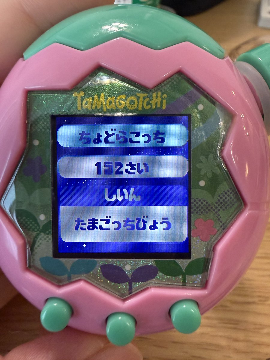 ________kqrin's tweet photo. 育ててたたまごっち
エッグハントで時間操作して
そのまま放置してたら死んじゃった🥺
えーん😭😭😭😭 https://t.co/54plj96wB3