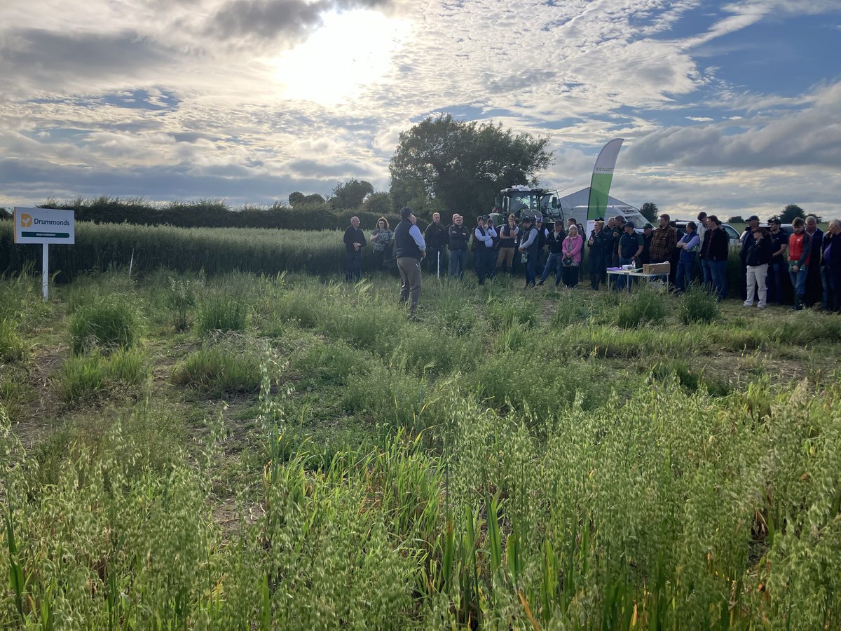 IrishSeedTrade's tweet photo. A really great evening in @DrummondsAgri trial site, where they displayed trials on varieties, seeding rate and a weed screening plot. Kubik wheat and the 100 day barley are ones to watch ! https://t.co/K2Fs9Pxsx7