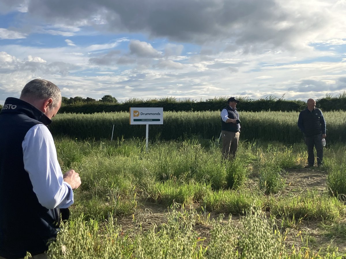 IrishSeedTrade's tweet photo. A really great evening in @DrummondsAgri trial site, where they displayed trials on varieties, seeding rate and a weed screening plot. Kubik wheat and the 100 day barley are ones to watch ! https://t.co/K2Fs9Pxsx7