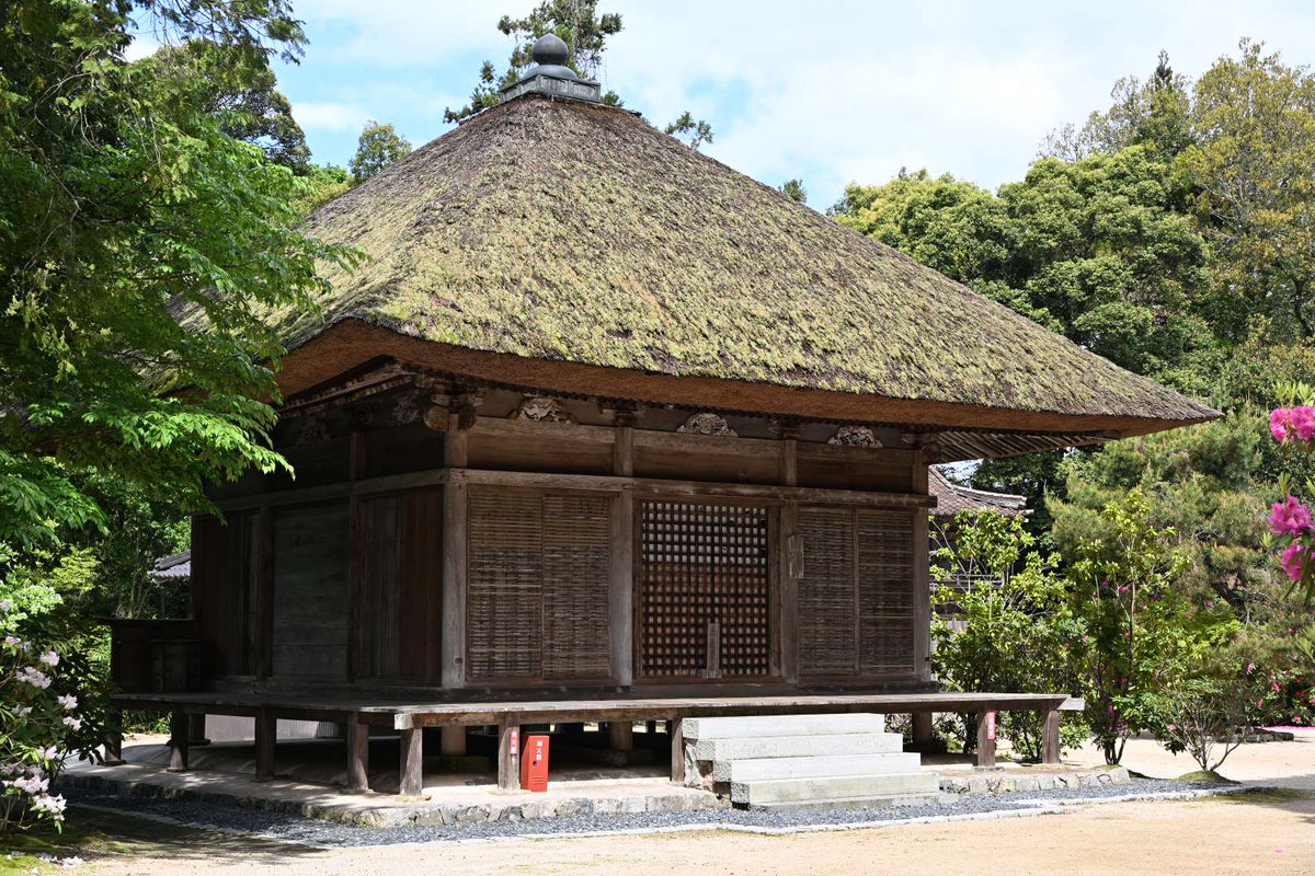belfry2000's tweet photo. 本山寺常行堂(江戸時代、県指定)と
霊廟(承応年間(1652～1654)、県指定)

常行堂は寺伝で室町時代後期の永正16年(1519)に建立というが、様式から江戸時代のものとされる。蟇股の意匠や低い脇障子が目についた

霊廟は拝殿が3×2の入母屋造に正面唐破風向拝で、幣殿は切妻造、本殿は方2間の宝形造 https://t.co/m2MFv9h56H