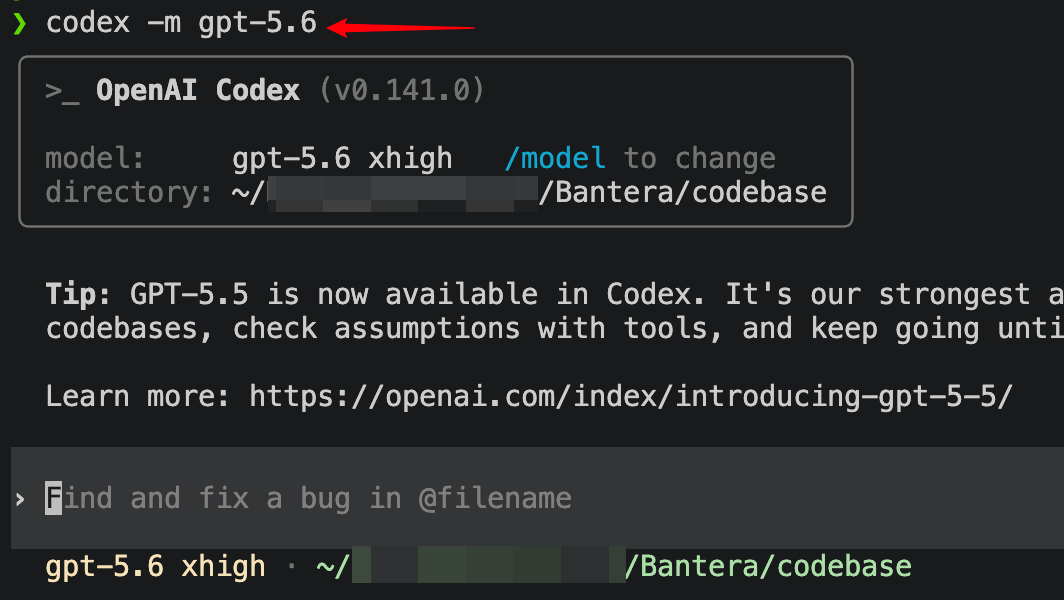 LetItCodeDev's tweet photo. GPT-5.6! https://t.co/YBvE7oo3B0