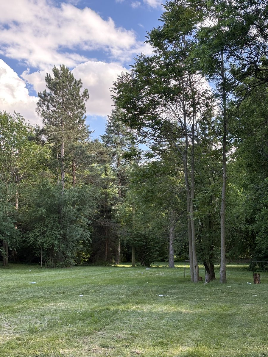 SassyGirlBoss's tweet photo. Didn’t know whether I should share this or not… I bought 4 acres of land outside Chicago.  🌲 I have no idea yet whether it’ll become a weekend escape, a horse 🐎 property, or a summer home. For now, I’m just enjoying the idea of having my own little piece of peace… maybe 30 miles away from the craziness of Chicago  🌳