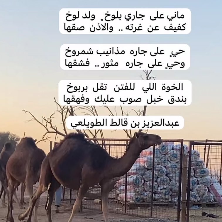 Altaweei4444's tweet photo. ماني على جاري .. https://t.co/C5wIHF3Ri6