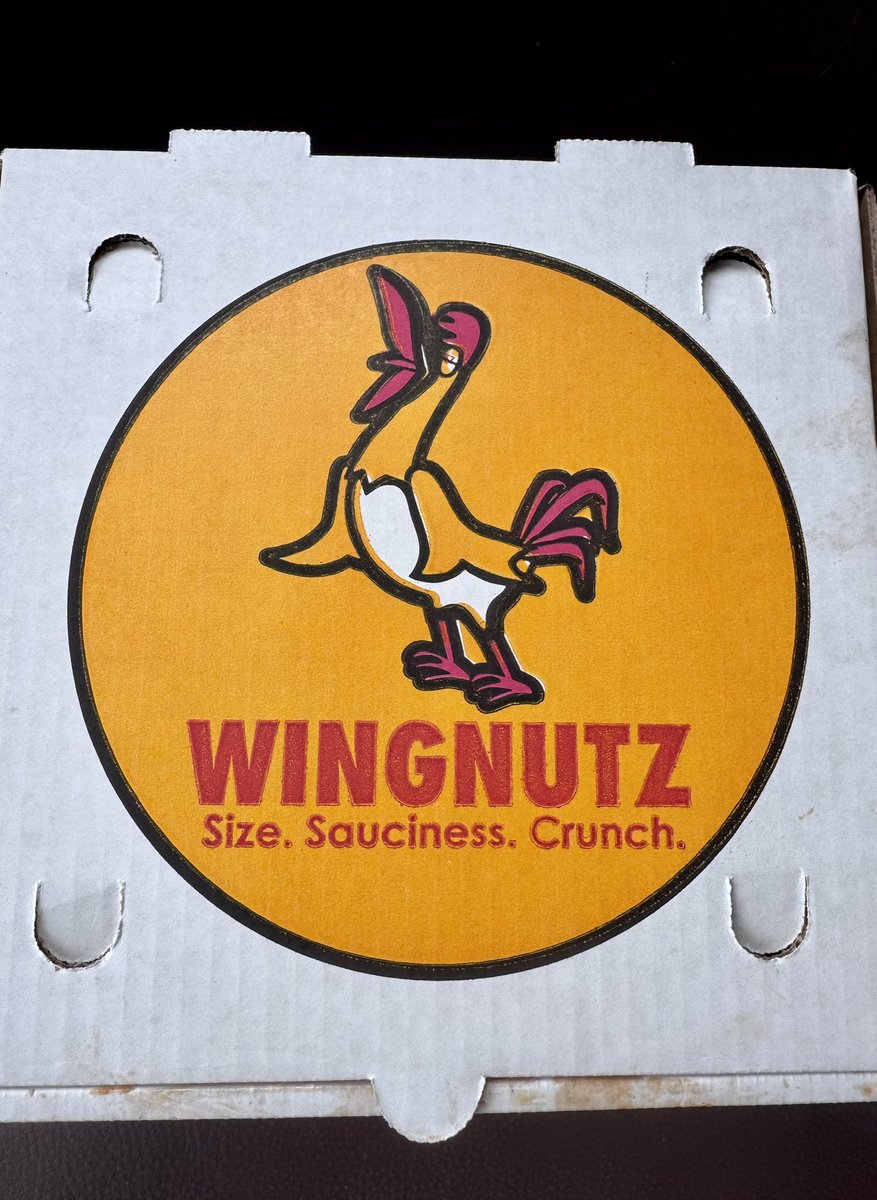 nmbernard's tweet photo. Crushed our first 
@WingnutzB flight 🙌🏼 https://t.co/qpQpSFc2tY