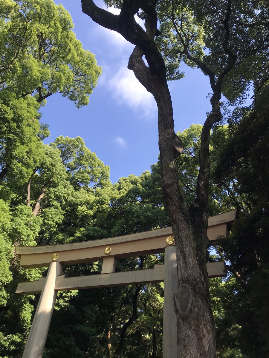 yuu850's tweet photo. 朝に明治神宮を参拝。
南参道の献上酒樽。
ご利益は物事の発展。
明治天皇は養殖産業を発展させたから
よりパワーがな強い場所です。
#神社
#御朱印 https://t.co/F6FhqHbA3y