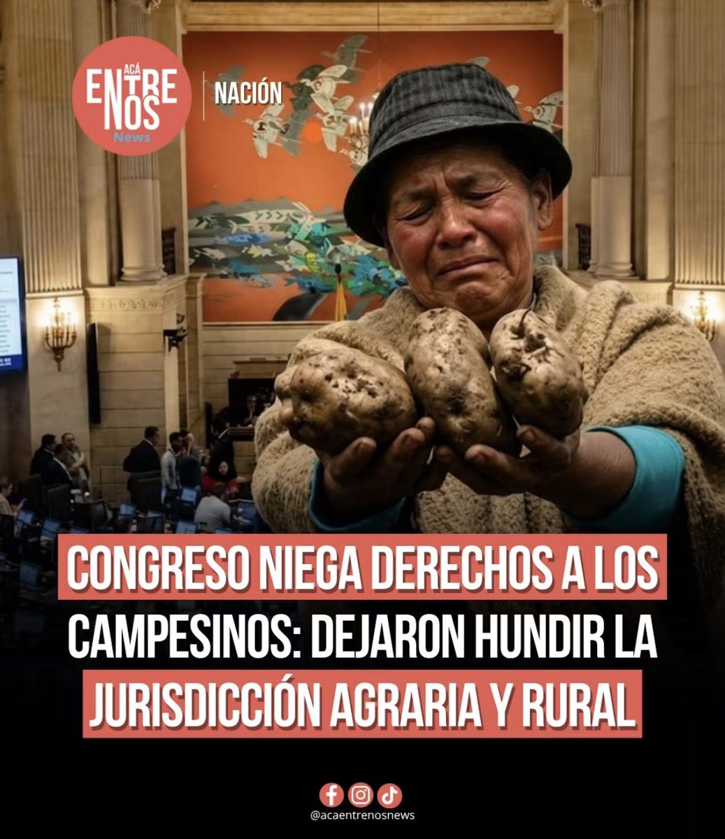 LILIANA BADILLO tweet media