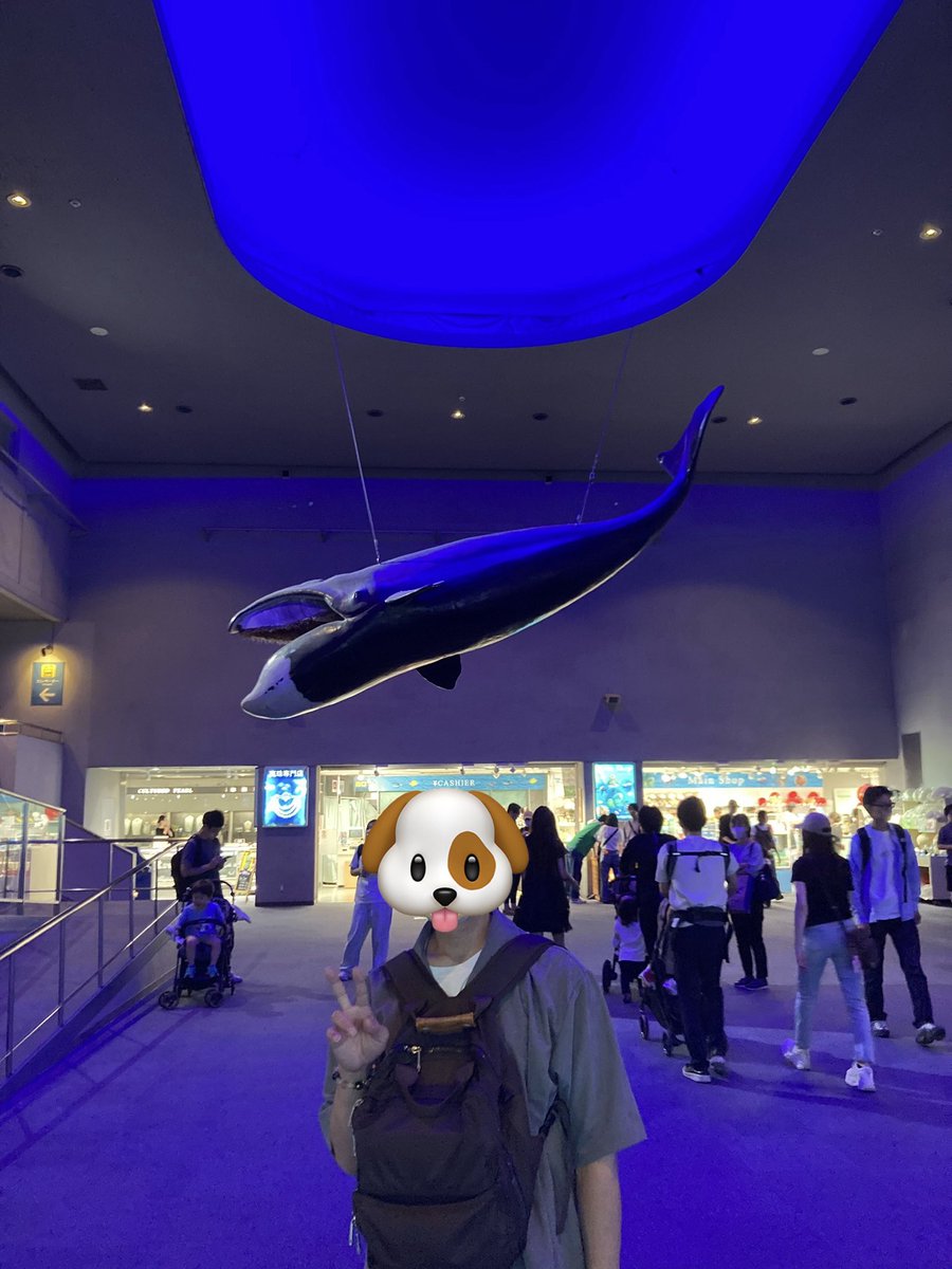 Diary20230601's tweet photo. 三重県鳥羽市　5月24日
鳥羽水族館 https://t.co/0EBfMRUlJ5