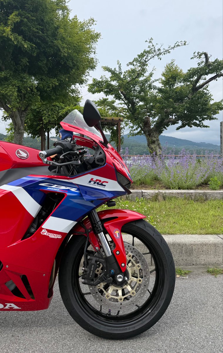 Rちゃん🪽CBR 600RR (@R_CHAN_25) / Posts / X