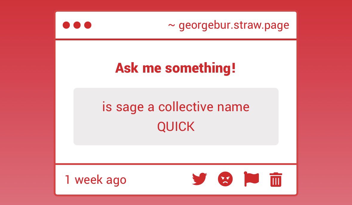 veritytaunted's tweet photo. yes it is, one of our old hosts goes by sage but he went dormant(?) but we like the name so we collectively use sage. very sorry that this wasn’t quick though 💔 https://t.co/zjx76cxiAg