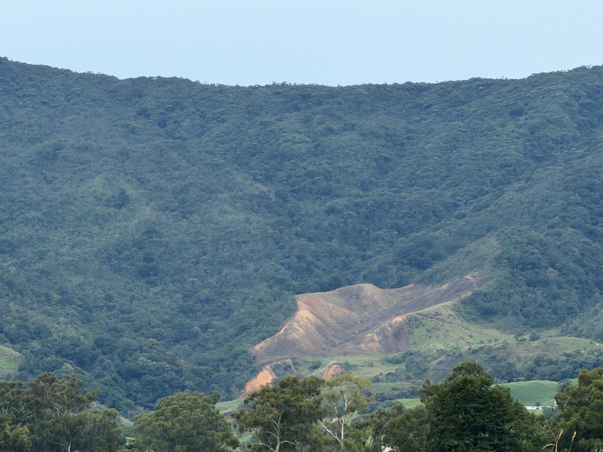 DiegoLopera's tweet photo. Ojo @Corantioquia la deforestación en el Páramo de las Baldías… los páramos son intocables, son los productores del agua, controles pues…  @GobAntioquia @AlcaldiadeBello https://t.co/n6bJHtg16N