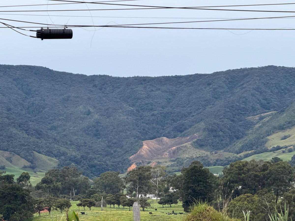 DiegoLopera's tweet photo. Ojo @Corantioquia la deforestación en el Páramo de las Baldías… los páramos son intocables, son los productores del agua, controles pues…  @GobAntioquia @AlcaldiadeBello https://t.co/n6bJHtg16N