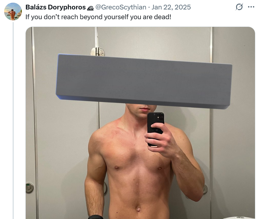 ᛪ tweet media