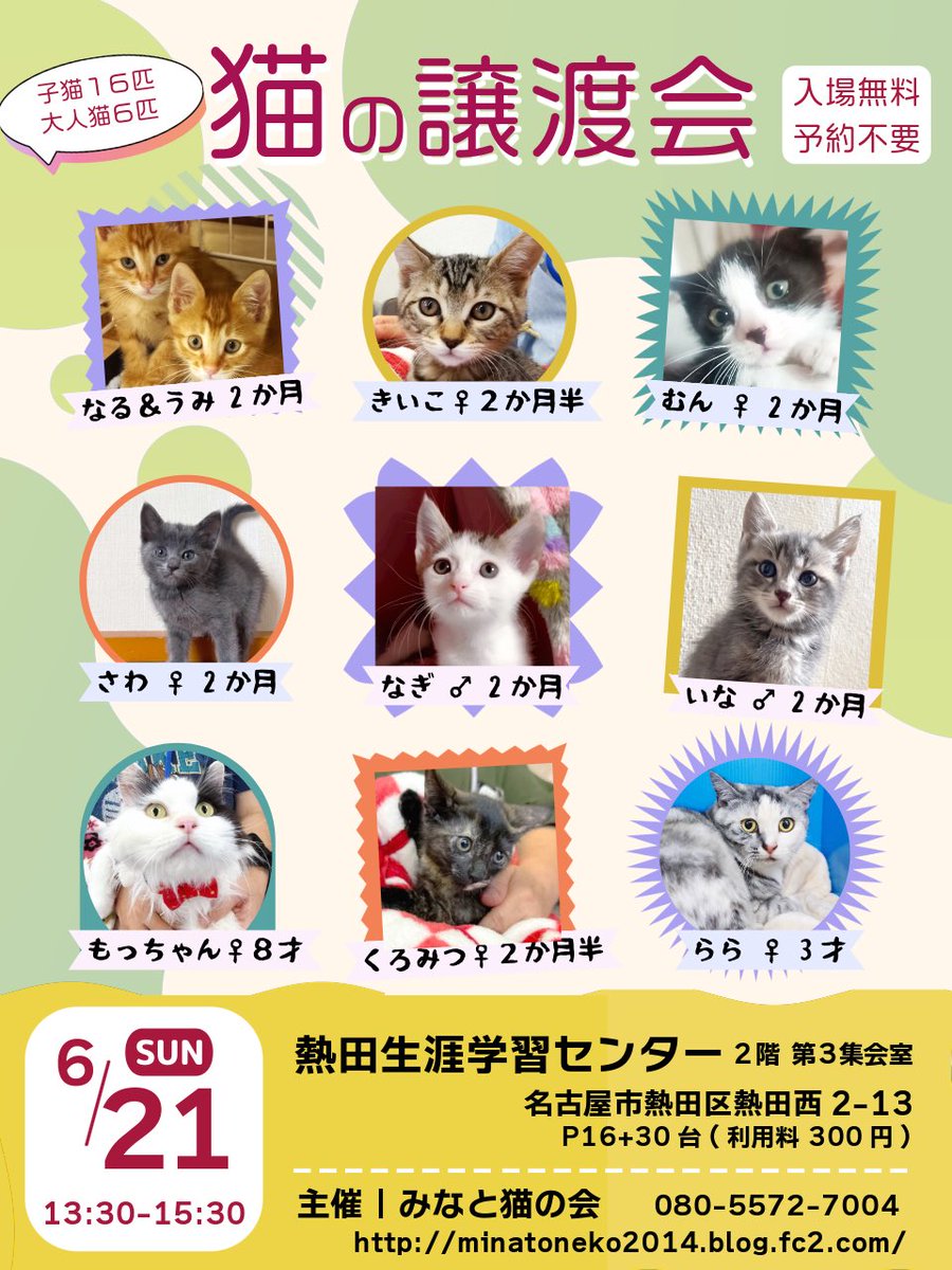 minatonekonokai's tweet photo. #拡散RP希望 
【命を繋ぐバトン・保護猫譲渡会】•6/21(日)13:30-15:30
•名古屋市熱田生涯学習センター
P16+30台(利用料 1回 300円)

個性豊かな子猫16匹＆大人猫6匹が、ずっとの家族を待っています

1つでも多くの尊い命が救われますよう、リポストのご協力をお願いします

#猫好きさんと繋がりたい https://t.co/W2Intqd3kg