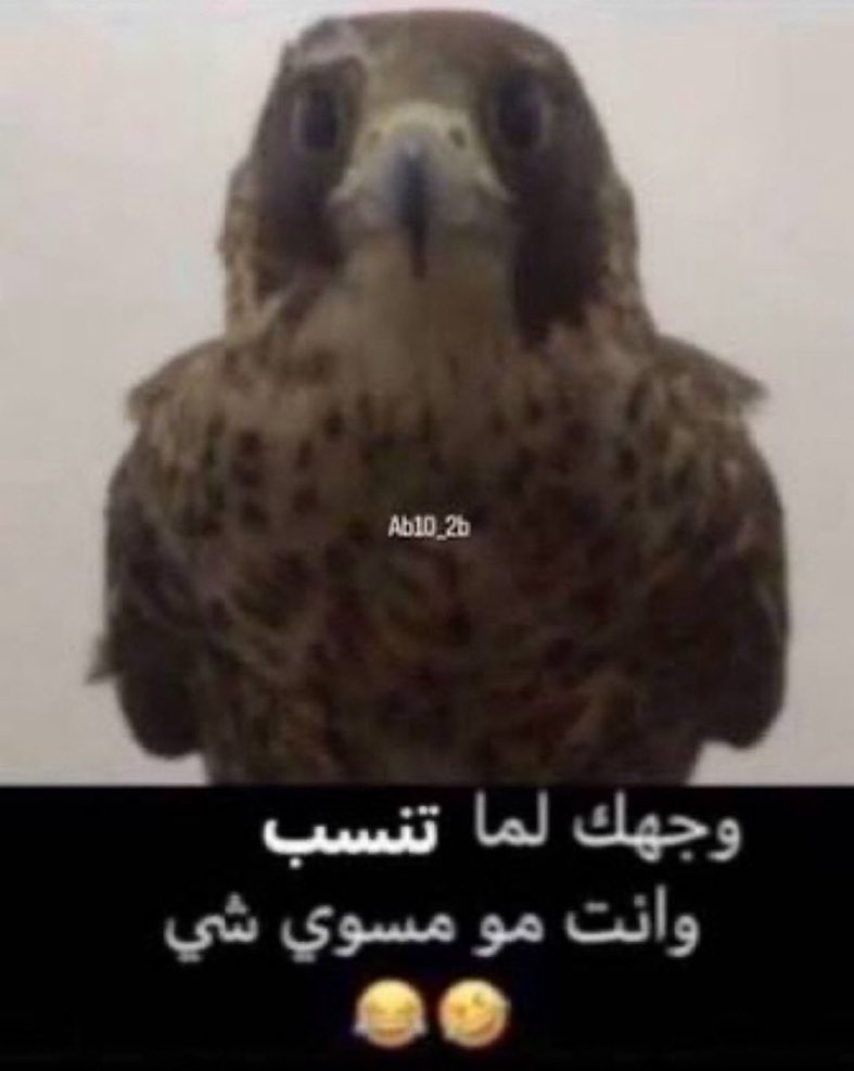 _su6an's tweet photo. الكويت وهم يحطون نتائج المنتخبات العربية عليها https://t.co/peBrdIOnHD