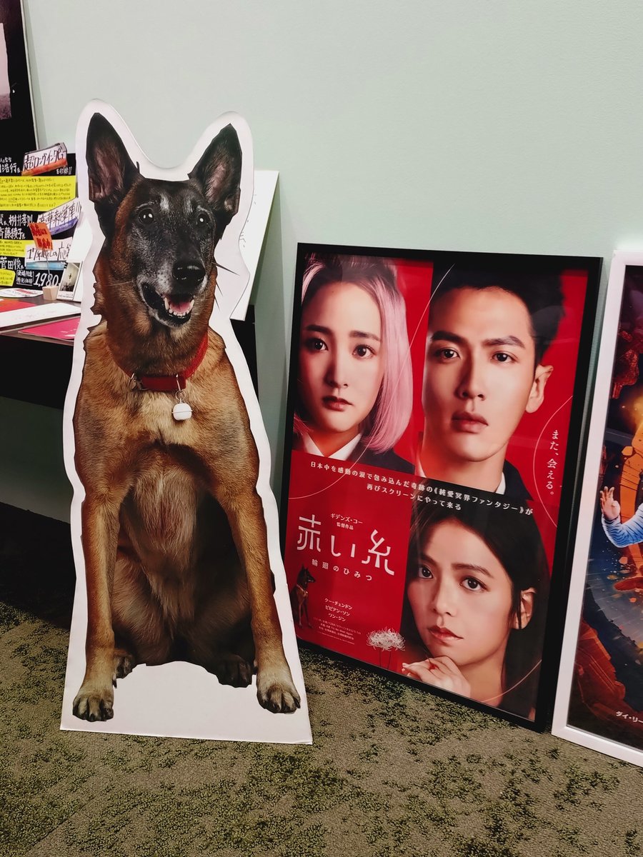 hokonuts's tweet photo. 『#赤い糸輪廻のひみつ』 

台湾で大ヒットしたのに日本では公開されないからと、お二人の方が個人的に配給権利を買って日本での上映を叶えた…というのをテレビで見てずっと気になっていた作品。

#ギデンズ・コー 原作 脚本 監督
#ビビアン・ソン
#クー・チェンドン
#ワン・ジン
#マー・ジーシアン https://t.co/eghr0VVFMy