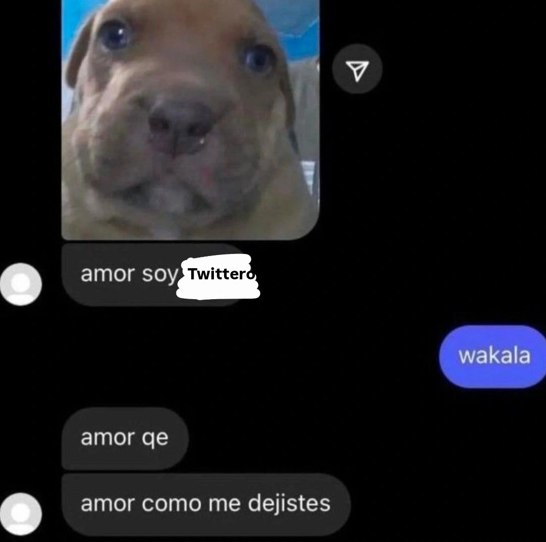 𝐋ottie tweet media
